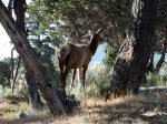 Yellowstone National Park, Wyoming, United States. Yellowstone National Park