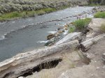Yellowstone National Park, Wyoming, United States. Yellowstone National Park