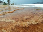 Yellowstone National Park, Wyoming, United States. Yellowstone National Park