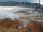 Yellowstone National Park, Wyoming, United States. Yellowstone National Park