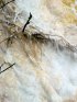 Yellowstone National Park, Wyoming, United States. Yellowstone National Park