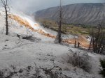 Yellowstone National Park, Wyoming, United States. Yellowstone National Park
